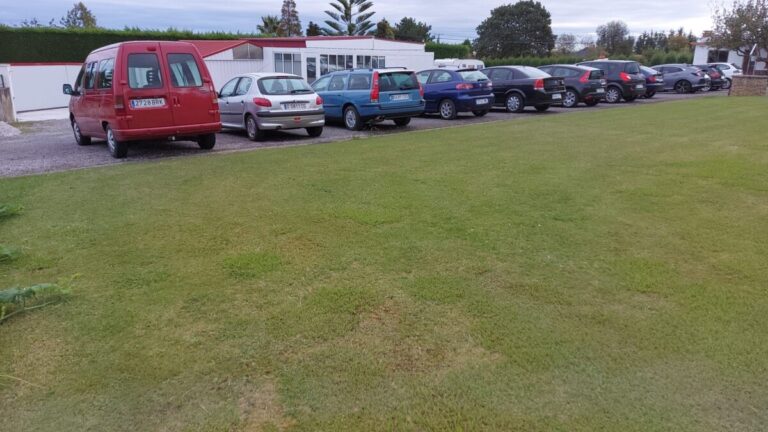 Foto donde se ven todos los coches por detrás
